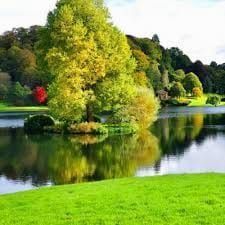 คริส หอวัง avatar