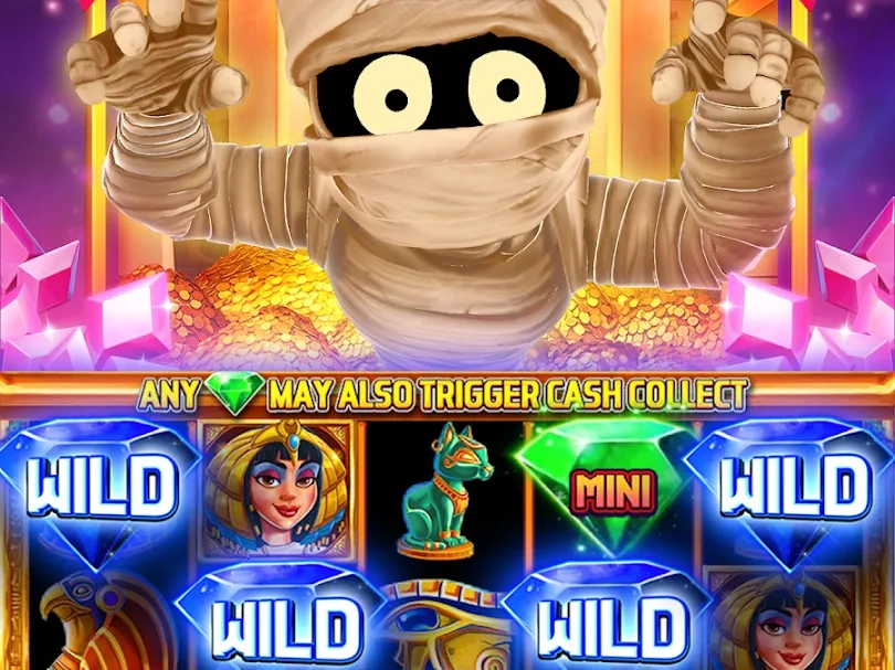 ระบบกระเป๋าเงินอัจฉริยะ wing1688 plus screenshot