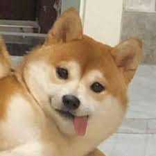 สารัช อยู่เย็น avatar